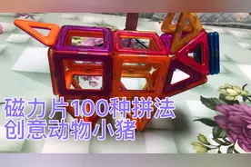 亲子益智玩具积木磁力片拼图大全教程造型动物篇聪明宝宝孩子小猪