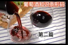 各国葡萄酒条形码视频封面