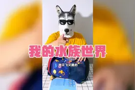 我的水族世界：第五个水族馆的蝴蝶鱼，好难抓啊
