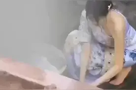 青蛙和癞蛤蟆的区别图片