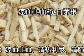 介绍凉血止血药•白茅根，既治多种血热出血证，又清热利尿、止咳视频封面