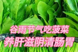 谷雨节气吃菠菜，养肝滋阴清肠胃视频封面