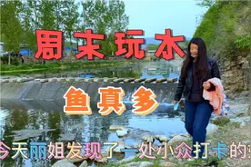 济南西营有一个玩水捉鱼的好地方，人少景美可野餐露营烧烤视频封面