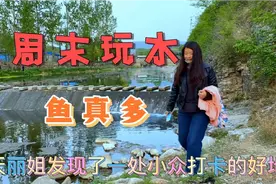 济南西营有一个玩水捉鱼的好地方，人少景美可野餐露营烧烤视频封面