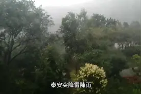 今日中午三点，泰安突然狂风雷电大雨来袭，天黑如夜晚大雨真来了视频封面