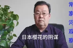 日本樱花的阴谋视频封面
