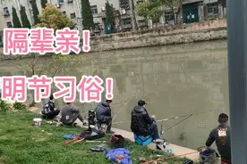 今天清明节，爸妈电话嘱咐不让宝贝出门，你们那边清明有什么讲究视频封面