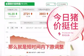 这次猪价下跌背后的原因是什么？很多地方还是明跌暗涨挺住！视频封面