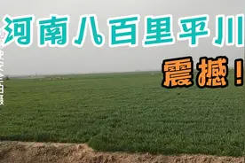 河南到底有多平？开车俩小时看不到一座山，南方人感概:太震撼了