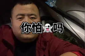 大雪压青松，青松挺且直。视频封面