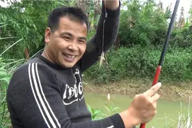 乡野阿甘:蚯蚓做饵钓趴地虎，阿甘两把杆不间断的拉，太过瘾了。视频封面