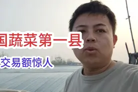 中国蔬菜第一县，交易额惊人，全部都是蔬菜大棚，一亩地能赚三万视频封面