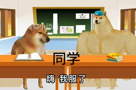 虚假的同学友谊视频封面