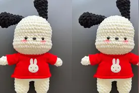 宝贝琳手作-钩针毛线编织手工制作帕恰狗玩偶挂件教程上集视频封面