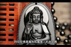 生肖狗和猪的守护神视频封面