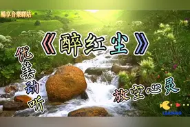 一曲《醉红尘》听醉了人，听碎了人心，放空了心灵