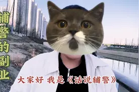 河北辅警工资待遇2023年上调，河北打响第二炮。