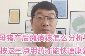 母猪产后瘫痪，按这三点分析用药才能快速康复！视频封面