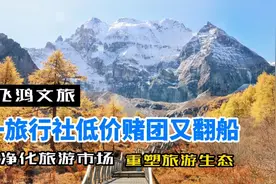 导游为何胁迫游客购物？低价赌团，旅行社这个锅背的不冤视频封面