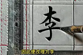 百家姓——李姓的起源视频封面
