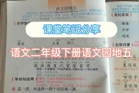语文二年级下册语文园地五课堂笔记，巩固加深理解课本知识视频封面
