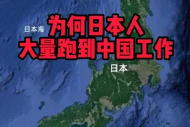 为何大量日本人跑到中国工作视频封面