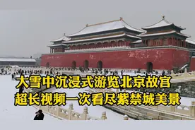 大雪中沉浸式游览北京故宫，红墙黄瓦白雪美哭了，南方人从没见过视频封面