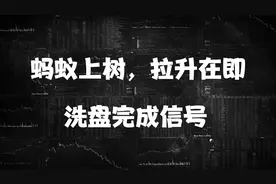 蚂蚁上树，拉升在即。洗盘完成信号视频封面