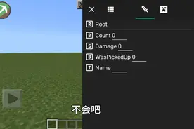 我叫你如何使用NBT