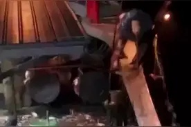 梭子蟹流网海捕作业过程图片