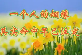 一个人的姻缘，其实命中早已注定视频封面