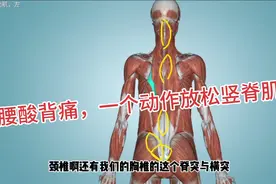 腰背不适，竖脊肌劳损，教你如何放松。视频封面