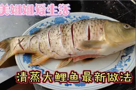 酒店密不外传的清蒸大鲤鱼最新做法，美味可口，好吃到停不下来