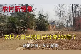 农村新怪象：农村人自己把自己分成三六九等，看看这到底是啥情况视频封面