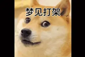 梦见打架解梦#解梦 #梦 #打架视频封面