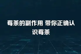 莓茶的副作用带你正确认识莓茶视频封面