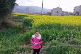 陕西安康油菜花盛开，景色太美了，不愧是西安后花园！视频封面