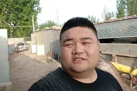母猪的自然配种，种公猪最近闲下来了，尽量使用自然配种了！