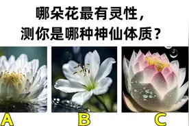 心理测试：你是哪种神仙体质？视频封面