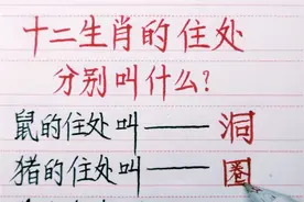 十二生肖的住处分别叫什么？你知道吗？看到涨知识了视频封面