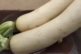 白萝卜这样蒸着吃，口感劲道，营养又美味，秋天多吃萝卜身体好视频封面