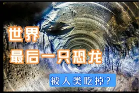 最后一只恐龙是怎么消失的？