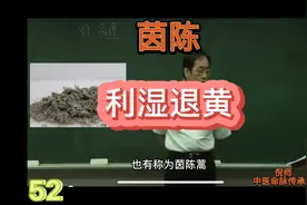 中医文化：第52集:茵陈-清湿热，退黄疸视频封面