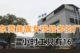 东莞彝族女孩最多的厂，鸿绩厂，小时工低的离谱，在vivo厂附近视频封面