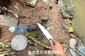 用一根棒就能召唤蚯蚓？真有这么神奇？视频封面