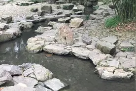 绍兴兰亭景区，曲水流觞，雅集盛会！视频封面