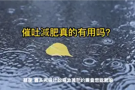 催吐減肥真的有用吗？视频封面