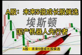 A股：未来5倍成长股候选，【埃斯顿】值得关注研究！视频封面