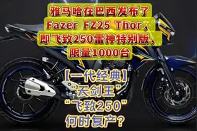 【一代经典】“天剑王”“飞致250”何时复产？飞致250雷神版…视频封面
