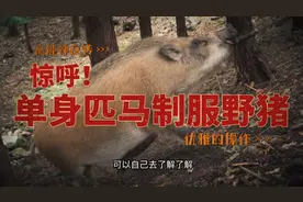 徒手单身匹马制服野猪，优雅的操作一个动作都不多余！
